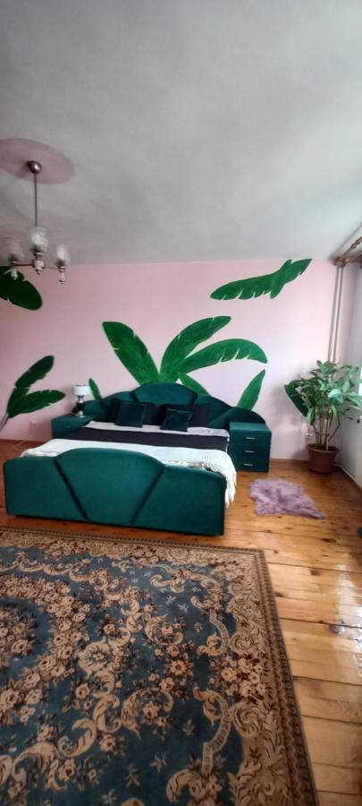 アルバ・ユリアCasa Zoraアパートメント 部屋 写真